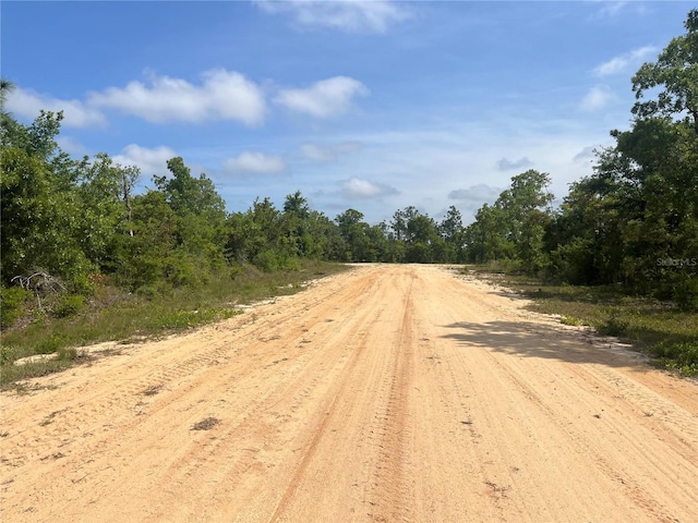 Rome Ave, Alford, FL 32420 - photo 2