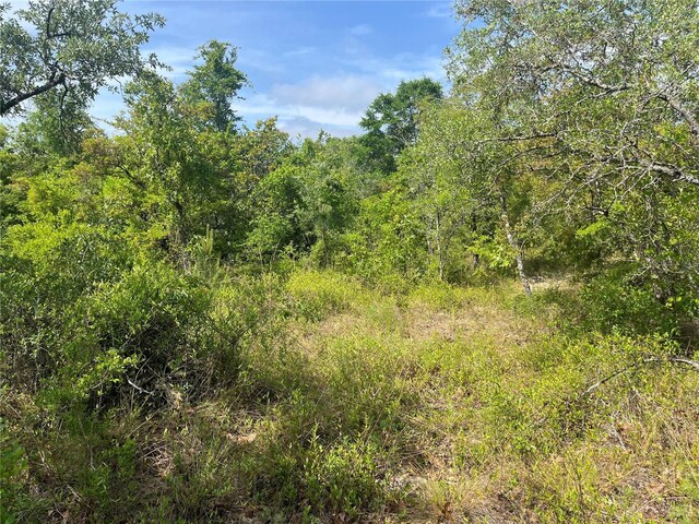Rome Ave, Alford, FL 32420 - photo 3