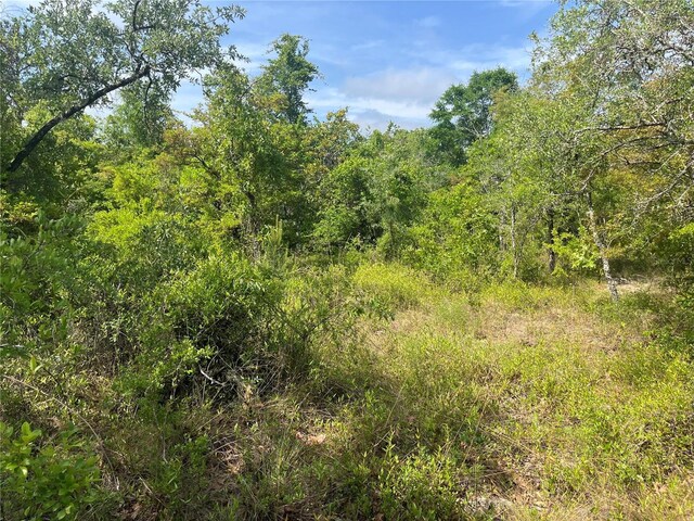 Rome Ave, Alford, FL 32420 - photo 4