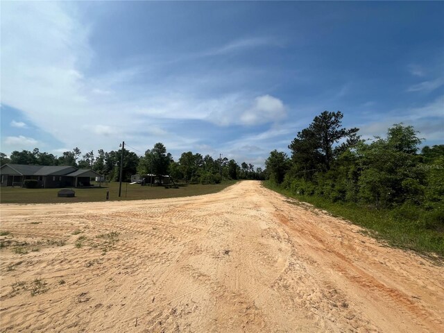 Rome Ave, Alford, FL 32420 - photo 5