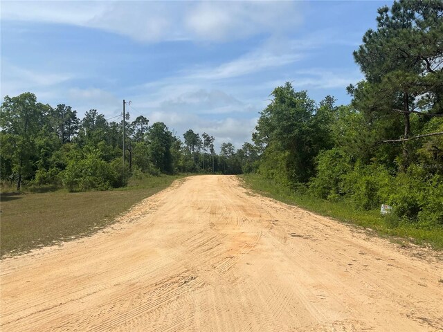 Rome Ave, Alford, FL 32420 - photo 6
