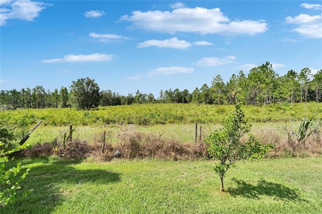 8749 Ashworth Dr, Tampa, FL 33647 - photo 30