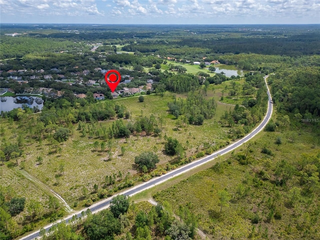 8749 Ashworth Dr, Tampa, FL 33647 - photo 32