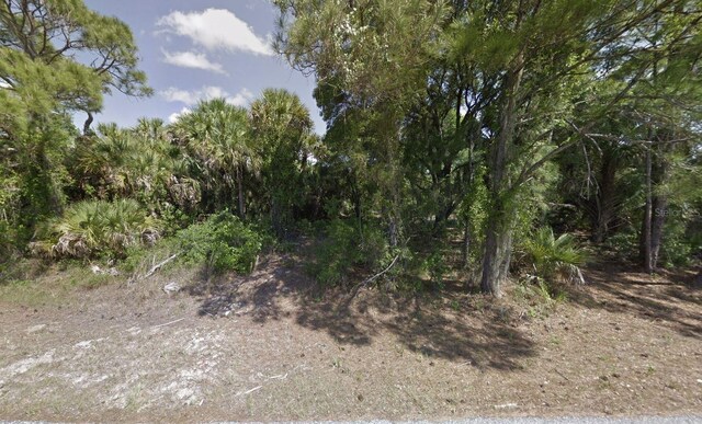 TBD San Salvador Rd, North Port, FL 34291 - photo 7