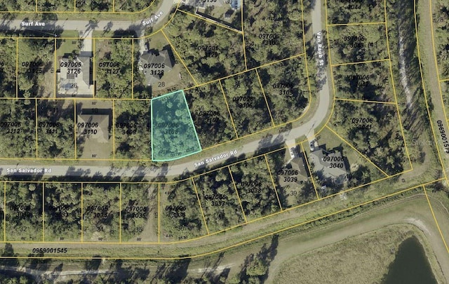 TBD San Salvador Rd, North Port, FL 34291 - photo 10