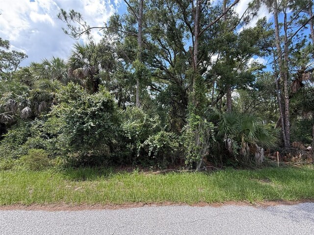 TBD San Salvador Rd, North Port, FL 34291 - photo 1