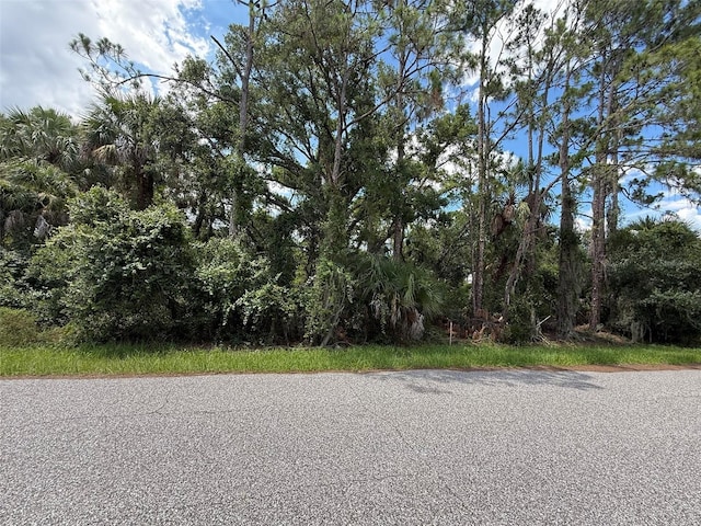 TBD San Salvador Rd, North Port, FL 34291 - photo 2