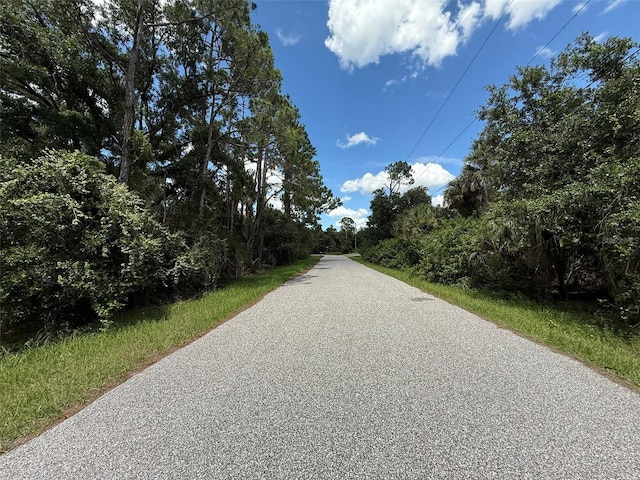 TBD San Salvador Rd, North Port, FL 34291 - photo 3