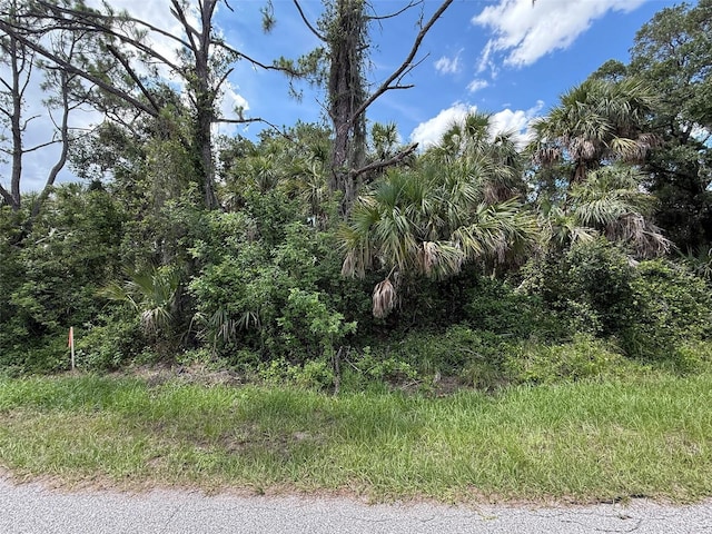 TBD San Salvador Rd, North Port, FL 34291 - photo 4