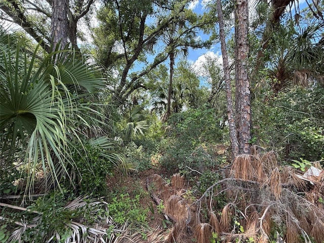 TBD San Salvador Rd, North Port, FL 34291 - photo 5