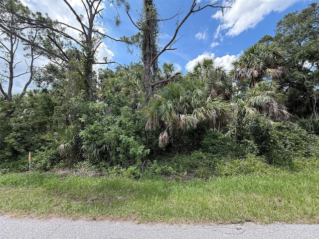 TBD San Salvador Rd, North Port, FL 34291 - photo 6