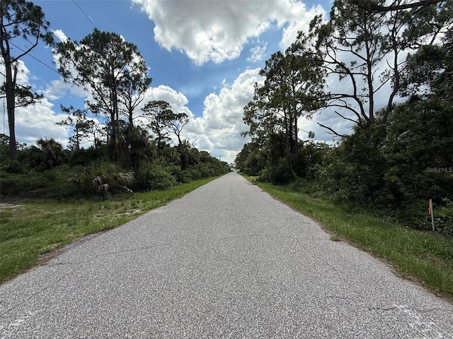 TBD San Salvador Rd, North Port, FL 34291 - photo 11