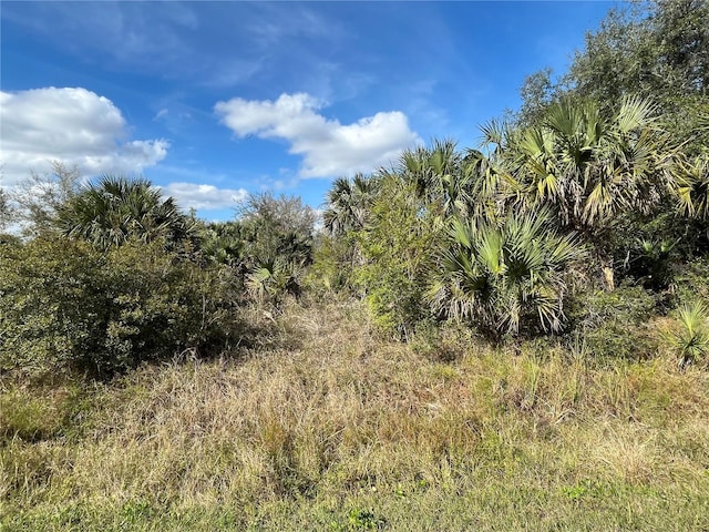 14667 NW 294th St, Okeechobee, FL 34972 - photo 1