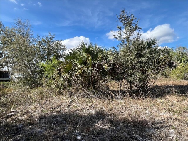 14667 NW 294th St, Okeechobee, FL 34972 - photo 3