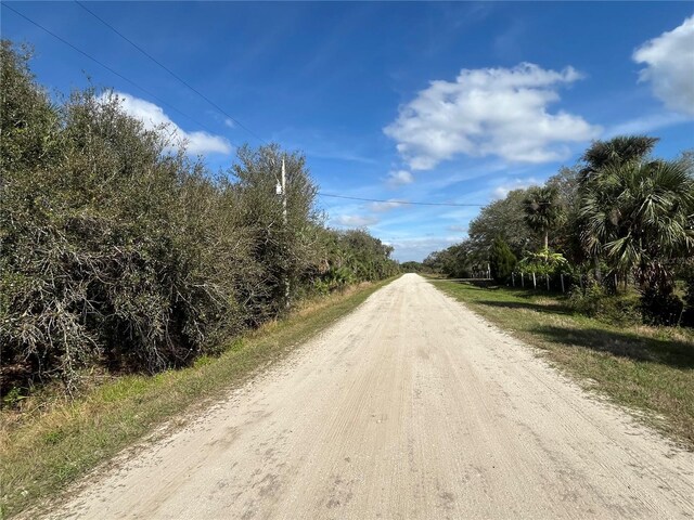 14667 NW 294th St, Okeechobee, FL 34972 - photo 6