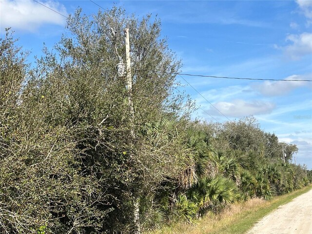 14667 NW 294th St, Okeechobee, FL 34972 - photo 7