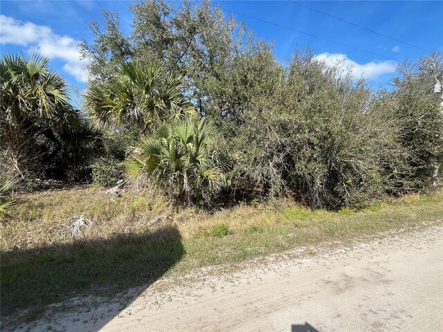 14667 NW 294th St, Okeechobee, FL 34972 - photo 8