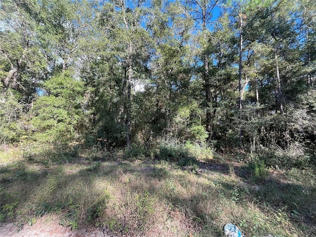 Rutland Rd, Crawfordville, FL 32327