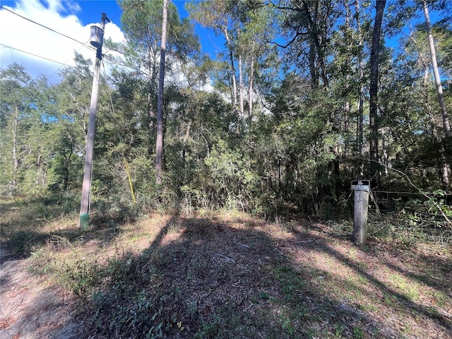 Rutland Rd, Crawfordville, FL 32327