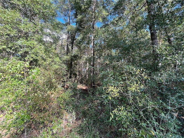 Rutland Rd, Crawfordville, FL 32327