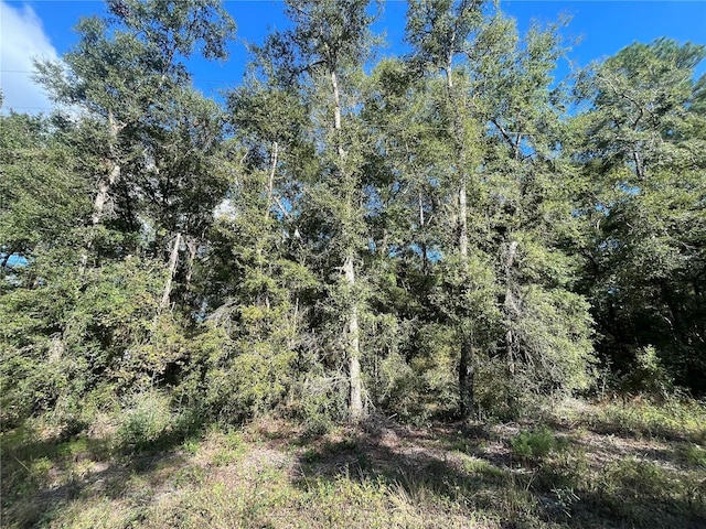 Rutland Rd, Crawfordville, FL 32327