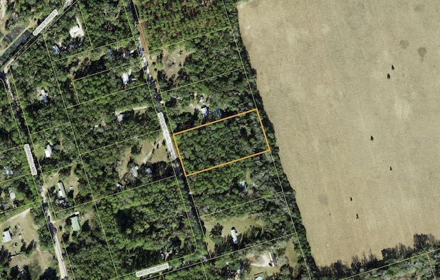 Rutland Rd, Crawfordville, FL 32327