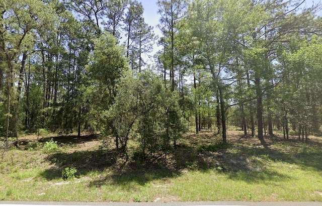 NW Ridgewood Rd, Dunnellon, FL 34431 - photo 2