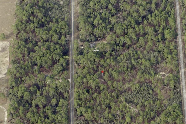 NW Ridgewood Rd, Dunnellon, FL 34431 - photo 4