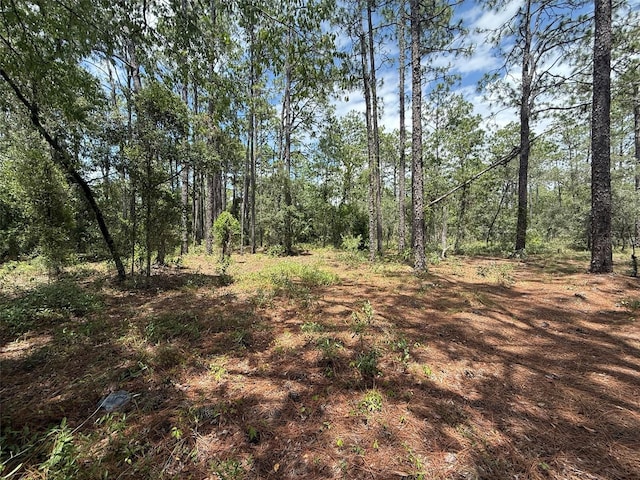 NW Ridgewood Rd, Dunnellon, FL 34431 - photo 1