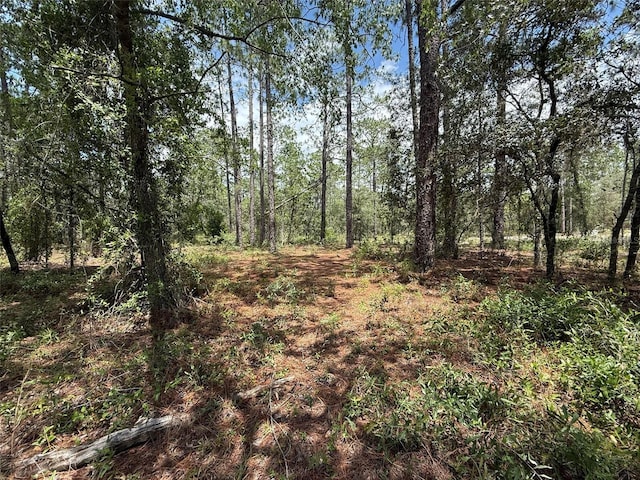 NW Ridgewood Rd, Dunnellon, FL 34431 - photo 6