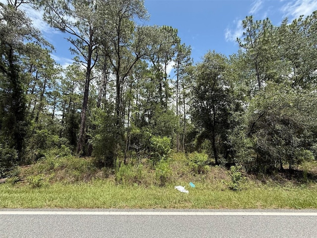 NW Ridgewood Rd, Dunnellon, FL 34431 - photo 7