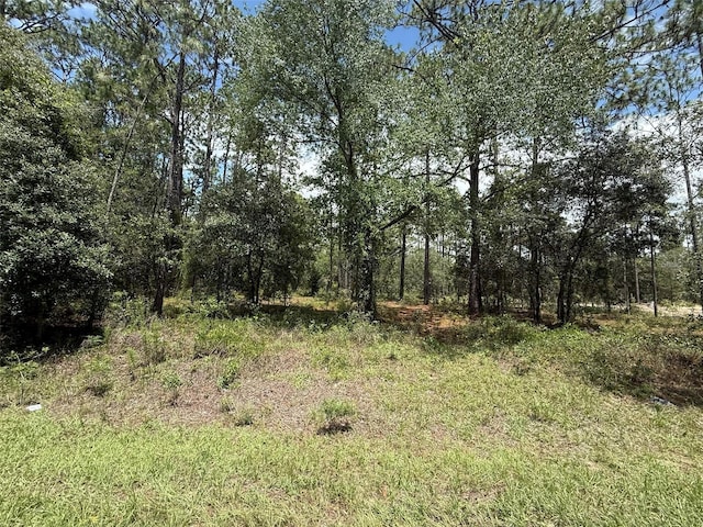 NW Ridgewood Rd, Dunnellon, FL 34431 - photo 9