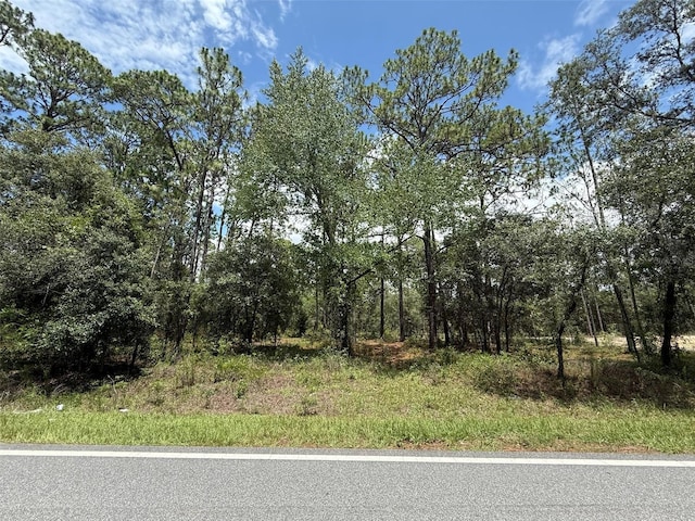 NW Ridgewood Rd, Dunnellon, FL 34431 - photo 10