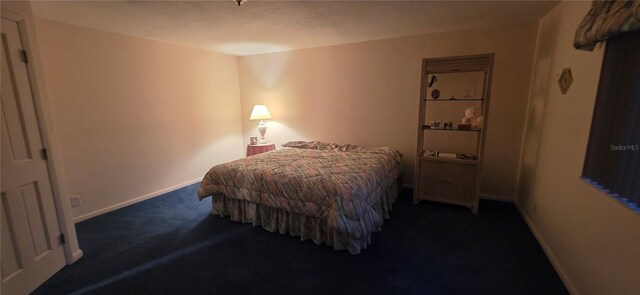 13206 SW 144th Pkwy, Okeechobee, FL 34974 - photo 38