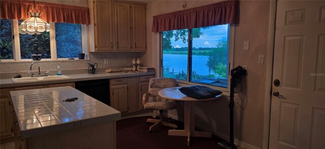 13206 SW 144th Pkwy, Okeechobee, FL 34974 - photo 15