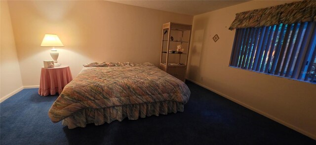 13206 SW 144th Pkwy, Okeechobee, FL 34974 - photo 39