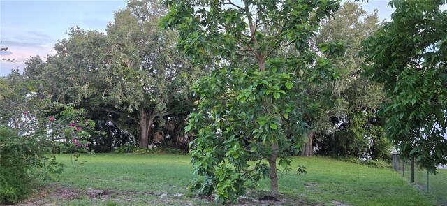 13206 SW 144th Pkwy, Okeechobee, FL 34974 - photo 48
