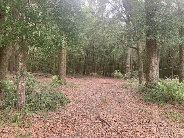 SW 20th St, Bell, FL 32619