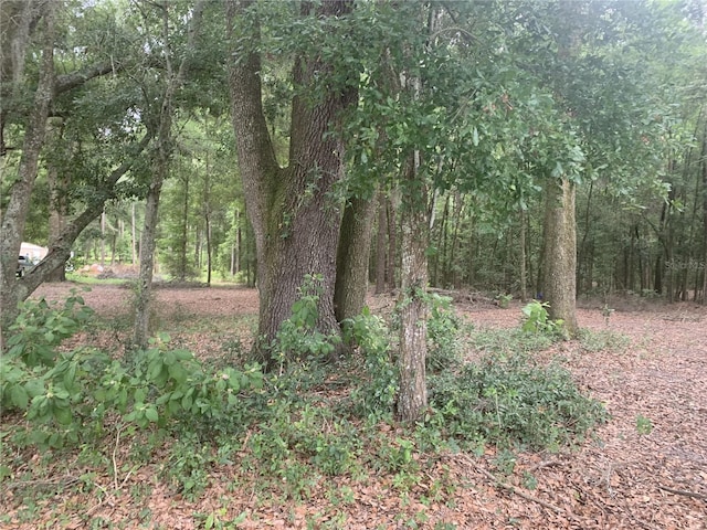SW 20th St, Bell, FL 32619