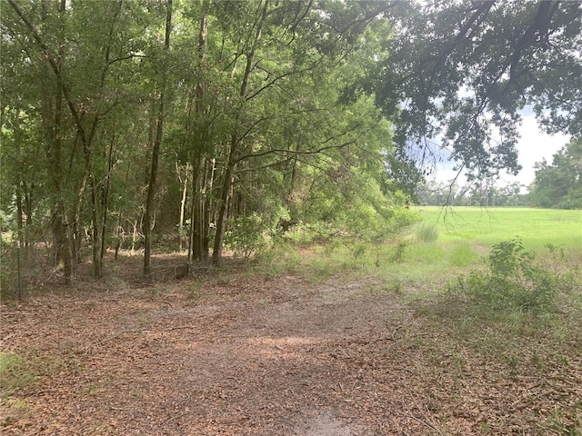 SW 20th St, Bell, FL 32619