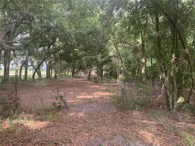 SW 20th St, Bell, FL 32619