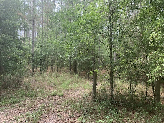 SW 20th St, Bell, FL 32619