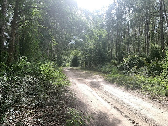 SW 20th St, Bell, FL 32619