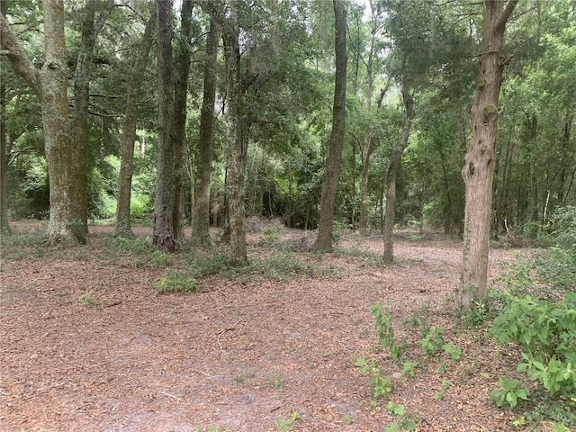 SW 20th St, Bell, FL 32619