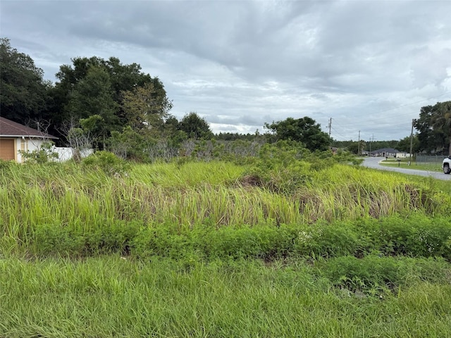 Almond Drive Run, Ocala, FL 34472 - photo 3