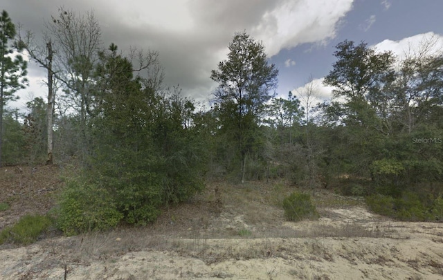 187 Paris St, Interlachen, FL 32148 - photo 2