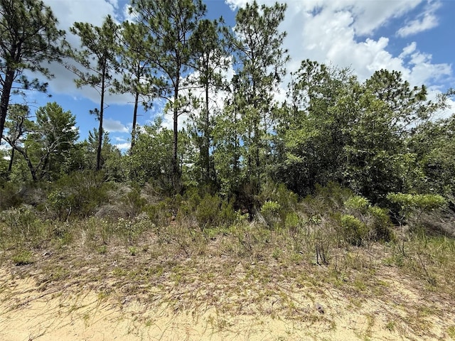 187 Paris St, Interlachen, FL 32148 - photo 1