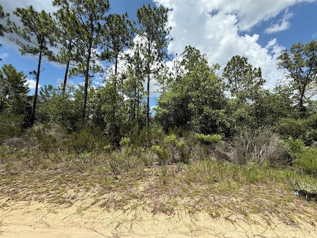 187 Paris St, Interlachen, FL 32148 - photo 5