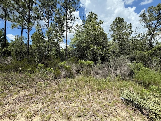 187 Paris St, Interlachen, FL 32148 - photo 6