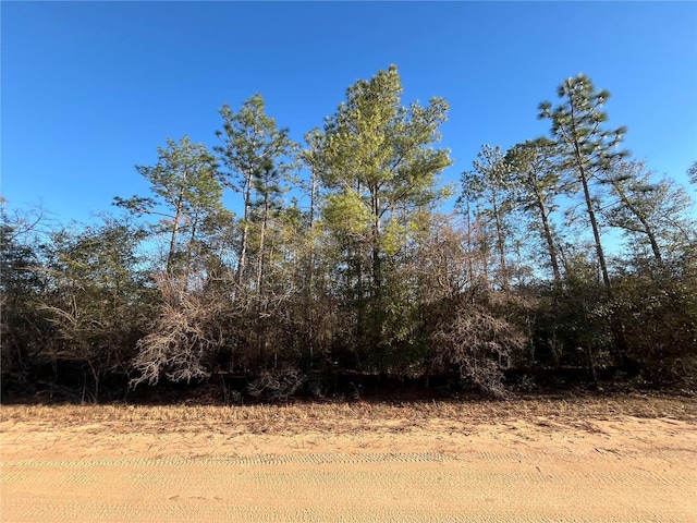 Goreville Ave, Alford, FL 32420 - photo 1